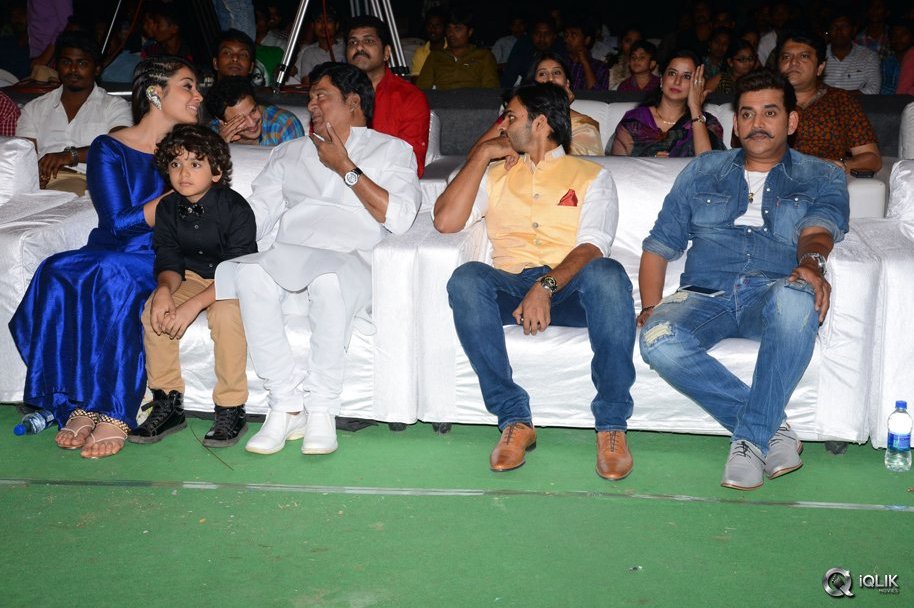 Supreme-Movie-Success-Meet